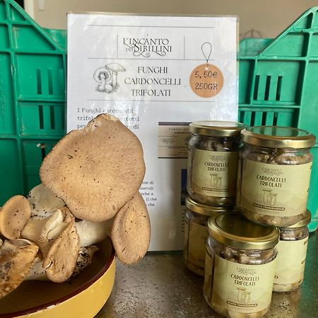 L'Incanto Dei Sibillini Cessapalombo エクステリア 写真